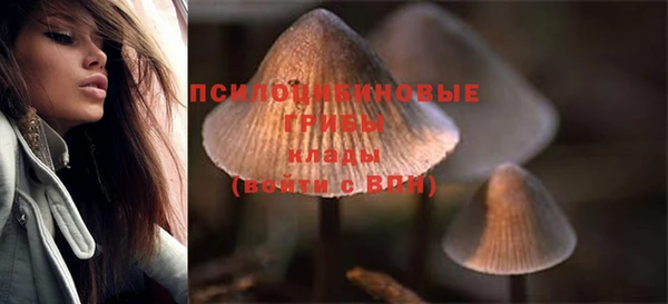 дурь Дмитровск