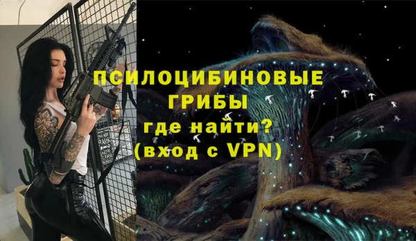 хмурый Фёдоровский