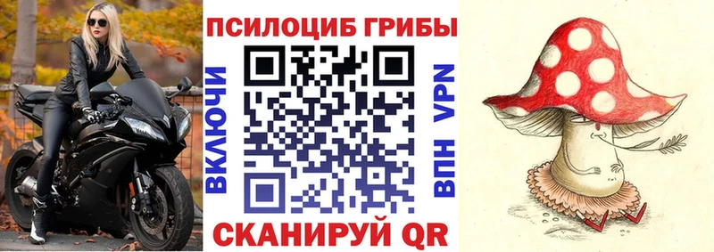 Купить  Сатка  Псилоцибиновые грибы Cubensis 